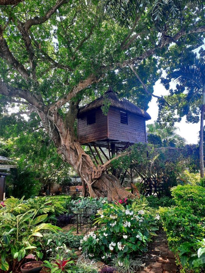 Tree Lodge Mauritius Belle Mare Exterior photo